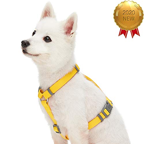 UMI. Essential - Arnés clásico Ajustable para Perros, Talla M, Amarillo