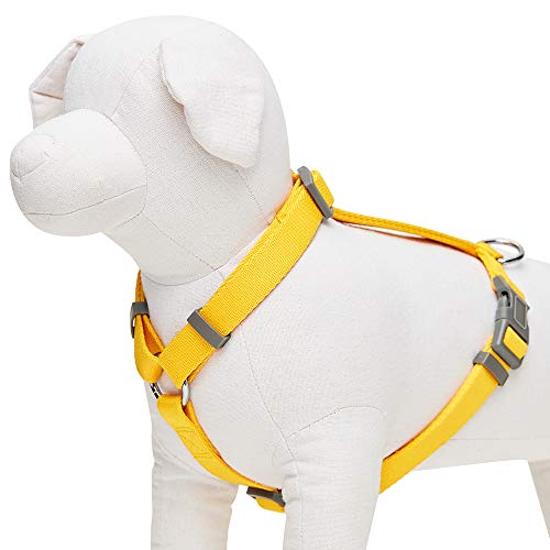 UMI. Essential - Arnés clásico Ajustable para Perros, Talla M, Amarillo