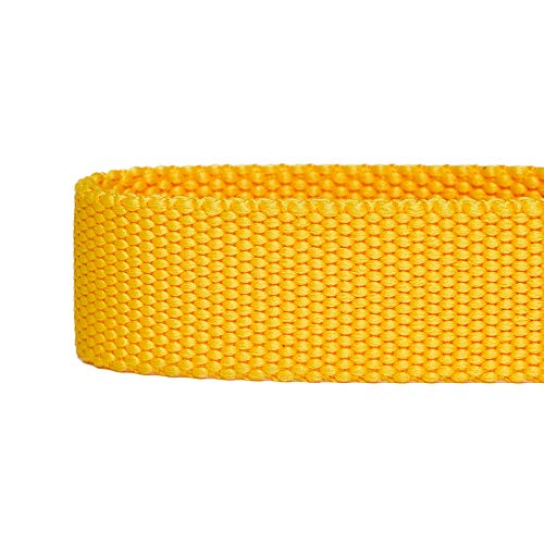 Umi. Essential Classic - Collar para perros S, cuello 30-40 cm, collares ajustables para perros (amarillo)