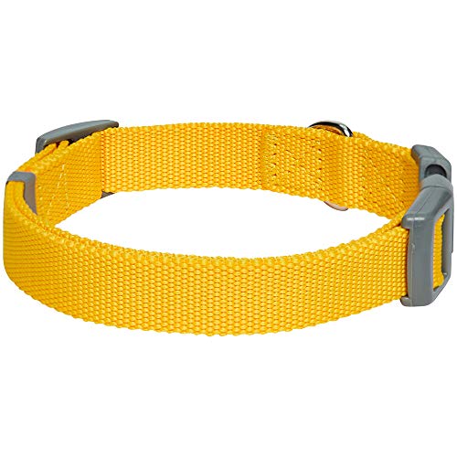 Umi. Essential Classic - Collar para perros S, cuello 30-40 cm, collares ajustables para perros (amarillo)