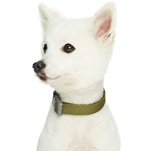 Umi. Essential Classic - Collar para perros S, cuello 30-40 cm, collares ajustables para perros (verde oliva)