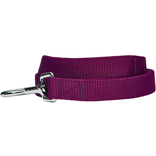 Umi. Essential Classic - Correa resistente para perros L, 150 x 2,5 cm, correas básicas para perros (morado)