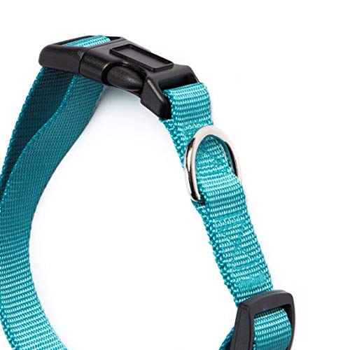 UPDOG Collar para Perro Nylon Ajustable. Diferentes Tallas para Todas Las Razas de Perros