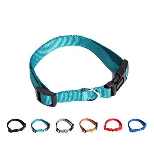 UPDOG Collar para Perro Nylon Ajustable. Diferentes Tallas para Todas Las Razas de Perros