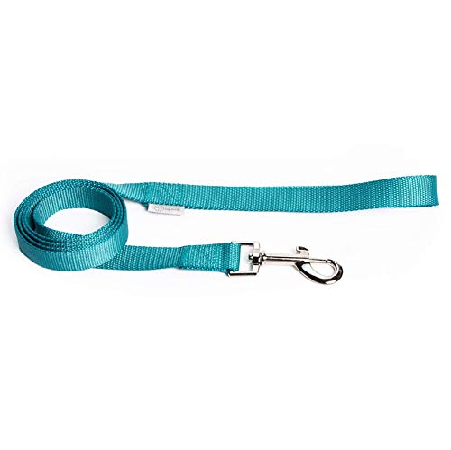 UPDOG Correa para Perros Nylon. Diferentes Tallas para Todas Las Razas de Perros