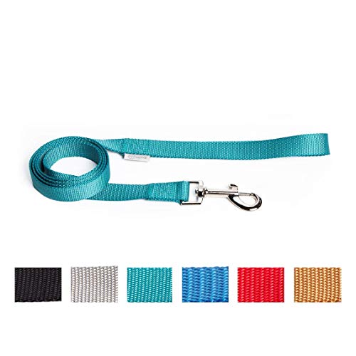 UPDOG Correa para Perros Nylon. Diferentes Tallas para Todas Las Razas de Perros