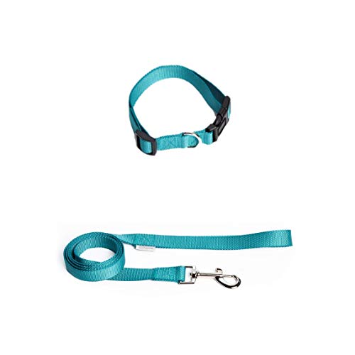 UPDOG Correa para Perros Nylon. Diferentes Tallas para Todas Las Razas de Perros