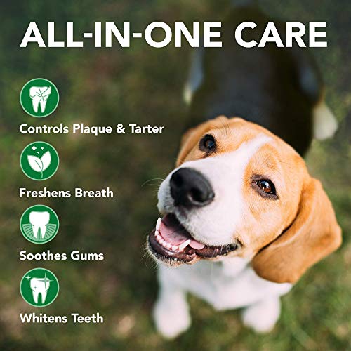 Vet's Best Kit de Cuidado Dental para Perros, Pasta Dental y Cepillo de Dientes, Combate la Placa enzimática y sarro