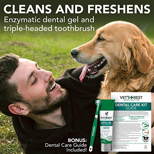 Vet's Best Kit de Cuidado Dental para Perros, Pasta Dental y Cepillo de Dientes, Combate la Placa enzimática y sarro