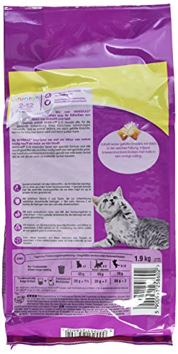 Whiskas, Comida Seca para Gatos, junior de 2 a 12 meses, pack de 6