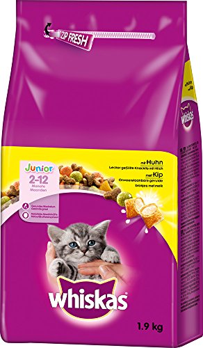 Whiskas, Comida Seca para Gatos, junior de 2 a 12 meses, pack de 6