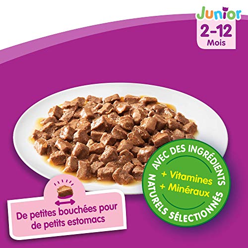 Whiskas Junior - Sachets Fraîcheur pour Jeune Chat et Chaton (2-12 Mois), Sélection Classique en Sauce, 84 Sachets Repas de 100 G