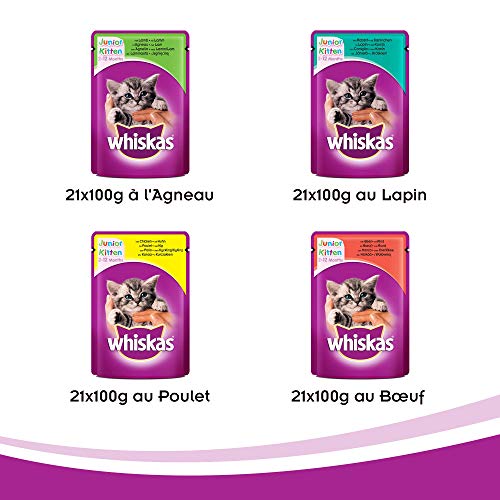 Whiskas Junior - Sachets Fraîcheur pour Jeune Chat et Chaton (2-12 Mois), Sélection Classique en Sauce, 84 Sachets Repas de 100 G