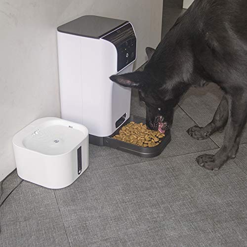 WHZWH Alimentador Inteligente, alimentador automático de Mascotas de 6 litros. Dispensador de Comida para Perros, Gatos y pequeños Animales Cámara HD y Video en Tiempo Real, alimentación remota