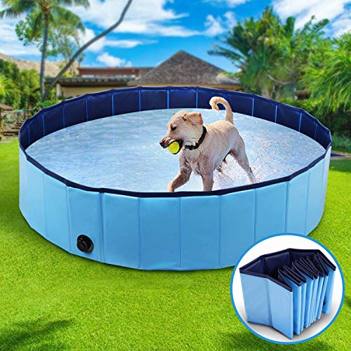 Wimypet Piscina para Mascotas o Niños Plegable, Piscina para Mascotas Bañera Plegable, Piscina para Perros, Piscina para Perros Plegable - Azul (80x20CM)