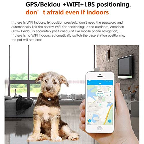 WLDOCA Rastreador GPS de Mascotas para Perros y Gatos yPlanificador de Acondicionamiento Físico