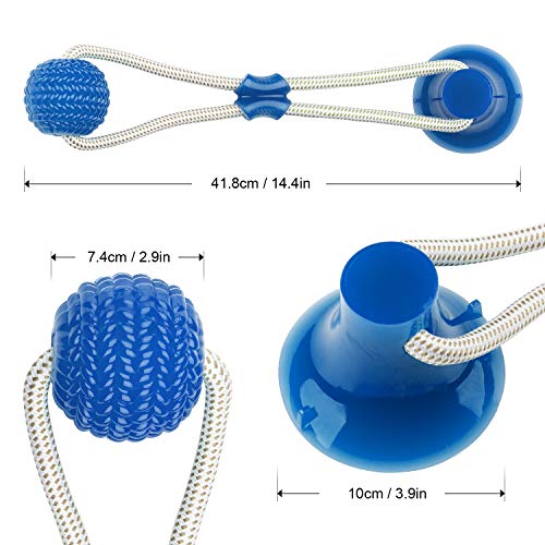 WolinTek Pelota de Juguete al Aire Libre para Perros, Juguete Multifuncional para mordedura de Molar para Mascotas, con Ventosa para Masticar, Limpiar los Dientes, Adecuado para Perros (Azul)