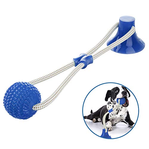 WolinTek Pelota de Juguete al Aire Libre para Perros, Juguete Multifuncional para mordedura de Molar para Mascotas, con Ventosa para Masticar, Limpiar los Dientes, Adecuado para Perros (Azul)