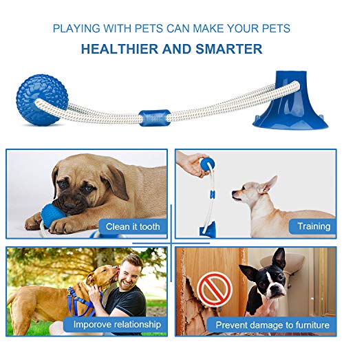 WolinTek Pelota de Juguete al Aire Libre para Perros, Juguete Multifuncional para mordedura de Molar para Mascotas, con Ventosa para Masticar, Limpiar los Dientes, Adecuado para Perros (Azul)