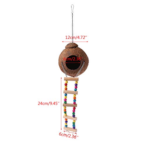 Xiaoyao24 - Jaula de coco natural para pájaros con escalera para loros, loros y periquitos, juguete