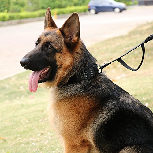 Xidan Collar de Perro de Nylon Táctico Militar Entrenamiento con Anillo de Metal y Hebilla