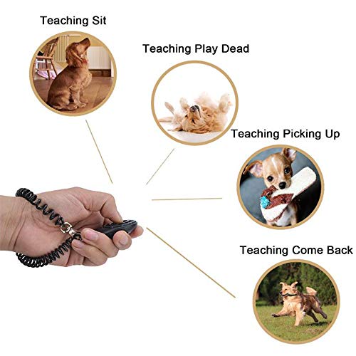 Xinlie Clicker Adiestramiento Entrenamiento de Clicker para Perros Clicker Premium Clicker Entrenamiento de Perros Profesional Clicker Klicker Finger Clicker con Brazalete en Espiral (3 PCS)