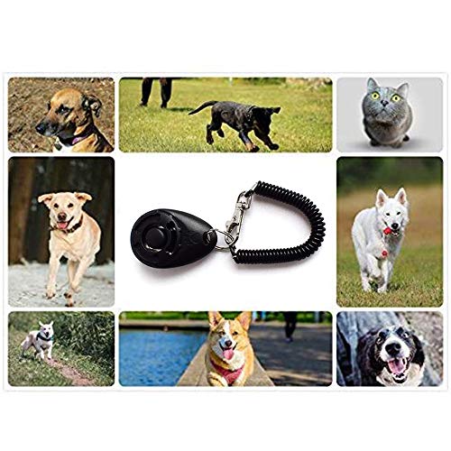 Xinlie Clicker Adiestramiento Entrenamiento de Clicker para Perros Clicker Premium Clicker Entrenamiento de Perros Profesional Clicker Klicker Finger Clicker con Brazalete en Espiral (3 PCS)