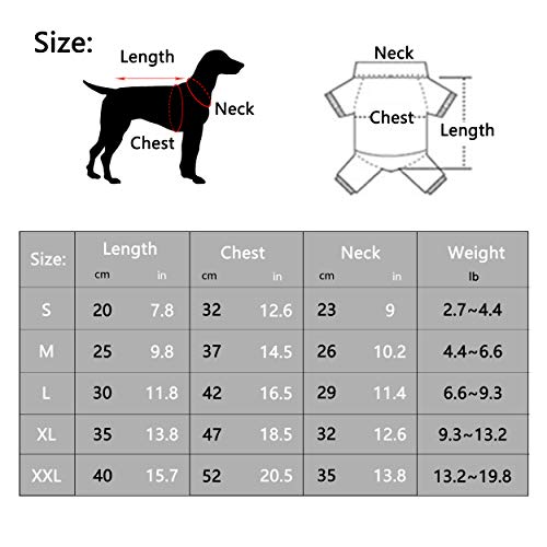 YAODHAOD Camiseta Minimalista para Perros, Ropa para Perros, Azul y Gris, 100% Algodón, para Mini Perros, Perros Pequeños y Gatos (2 Paquetes) (XXL-Schnauzer y Corgi Imágenes, Azul y Gris)