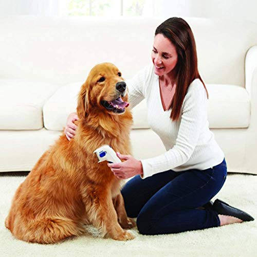 YOHAPPY Peine para pulgas de Perro, Cepillo eléctrico, Peine para Eliminar piojos, pulgas y garrapatas, Herramienta para Perros y Gatos