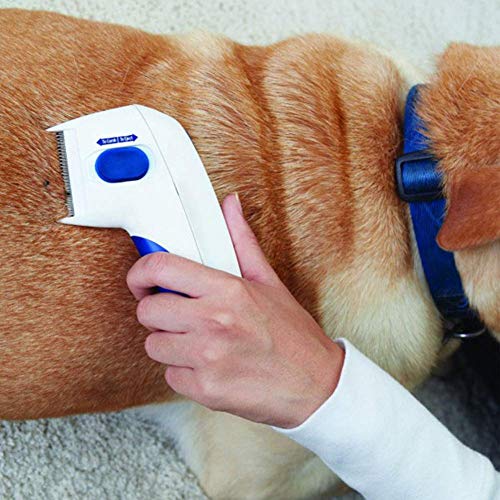 YOHAPPY Peine para pulgas de Perro, Cepillo eléctrico, Peine para Eliminar piojos, pulgas y garrapatas, Herramienta para Perros y Gatos