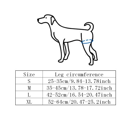 YUENA CARE Escalera para Perros Cinturón Auxiliar Mascota Pata Trasera Soporte para Caminar Correa Lesión por discapacidad