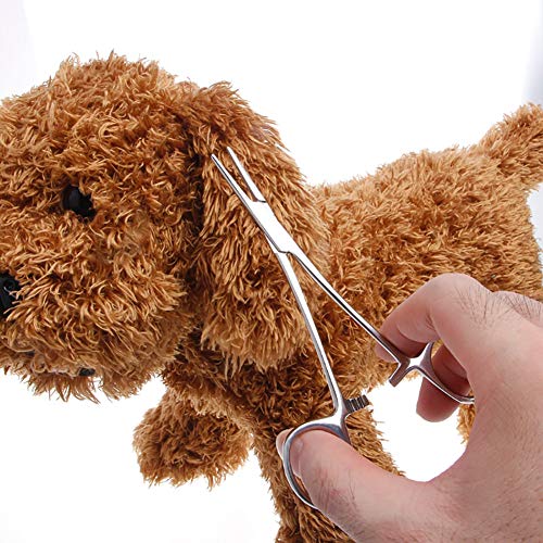 ZUOLUO Tijeras Peluqueria Canina Tijera De Barba El Pelo de Animales Extractor Pet oído fórceps Tijeras de Aseo para Perros para Orejas Straight,14cm