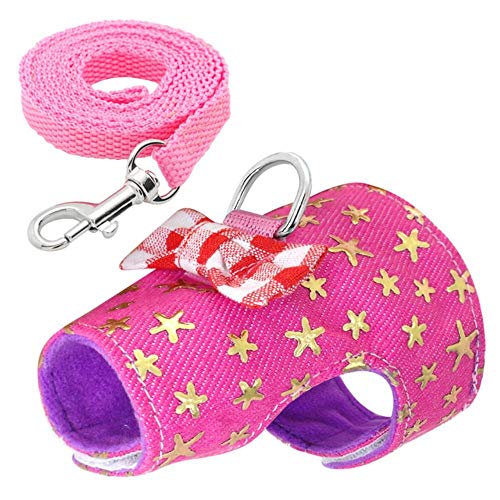 Zzxx - Juego de arnés y correa para mascotas pequeñas, para conejo, hámster, accesorios para cerdo, Rojo, Medium