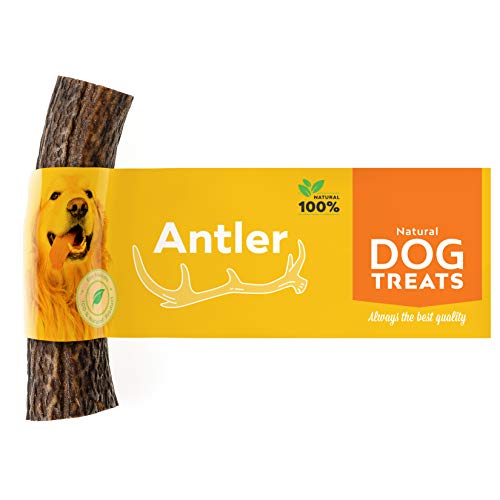 100% Natural Asta de Ciervo para Perro Cuerno Masticar Hueso Juguete, Tamaño Medium