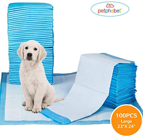 Alfombra para educadores para perros Petphabet Educator Alfombra Bambú para perros Puppies 56 x 58cm, 100 Piezas, Absorbente 2 veces más, 2 veces más rápido (azul)