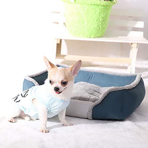 Alfombrilla para Perro Súper Grande, Cojín De Almohadilla Suave para Cama De Gato para Perro, Muebles para Casa De Perro, Cama para Mascotas Extraíble De Manta De Cachorro, XL,Azul