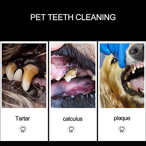 Alician Home Pet - Cepillo de dientes de acero inoxidable con doble cabeza para mascotas, herramientas de limpieza dental, piedras dentales