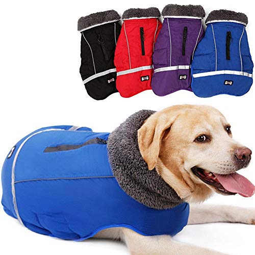 Alimentos para Mascotas Perro Ropa de Invierno Ropa for Mascotas Ropa de la Chaqueta de Invierno Perro Perro Impermeable for Perros a Prueba de Agua Caliente Venta Regalo (Color : Red, Size : L)