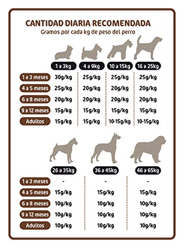 ALTUDOG Alimento Natural deshidratado para Cachorros Pollo SIN Cereales Puppy 500g - Comida Natural para Perros (500g)