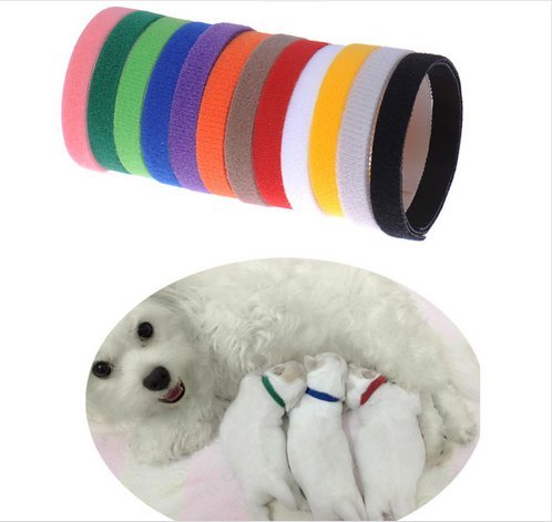 AmoreDiPET - Collares de identificación para cachorro – 12 collares ajustables, fácil manera de mantener un seguimiento de sus cachorros