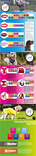 Ancol Muddy Paws Storm Guard Abrigo para Perro, Rosa, tamaño Mediano