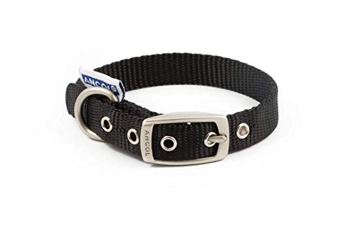 ANCOL Patrimonio Nylon Collar de Perro, pequeño, Color Azul