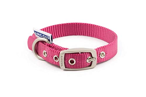 ANCOL Patrimonio Nylon Collar de Perro, pequeño, Color Azul