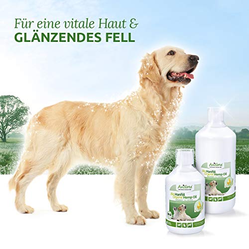 AniForte aceite de cáñamo orgánico prensado en frío para perros, gatos y caballos 500ml - 100% de aceite de cáñamo puro como aditivo BARF, producto natural de primera calidad