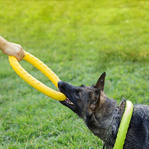 Anillo Grande de Juguetes para Perro Flotante de Agua, al Aire Libre Fitness Volando Discos, Tug of War Interactivo Anillo de Entrenamiento para Perros medianos y Grandes