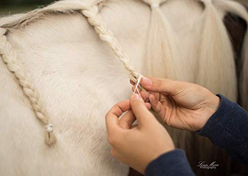 Animalon Gomas para Crin Silicona para Caballos de peluquería, Trenzas Suaves con Gomas Resistentes a la Rotura, Accesorios Ideales para Caballos