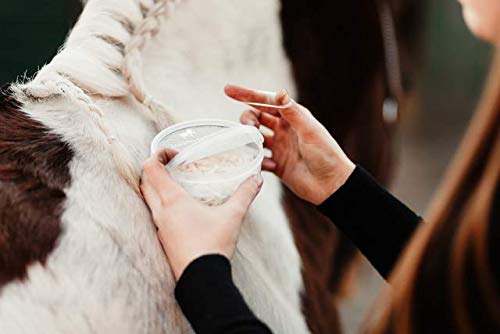 Animalon Gomas para Crin Silicona para Caballos de peluquería, Trenzas Suaves con Gomas Resistentes a la Rotura, Accesorios Ideales para Caballos