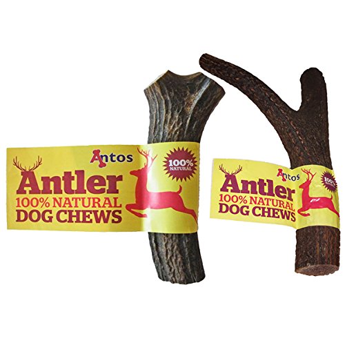 Antos Antler Dental para perro mediano 100% natural Pack de 2