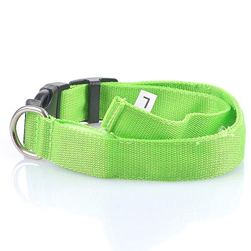 AOMEO Collar para Perro Mascota Nylon Led Verde Claro Geeignet für Kleine, mittlere Oder große Hunde Benutzerdefinierte Größe