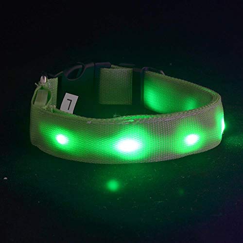 AOMEO Collar para Perro Mascota Nylon Led Verde Claro Geeignet für Kleine, mittlere Oder große Hunde Benutzerdefinierte Größe